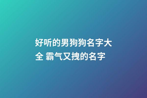好听的男狗狗名字大全 霸气又拽的名字